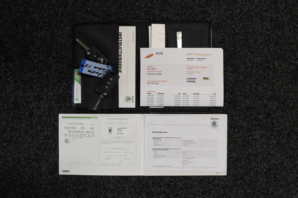 Hoofdafbeelding Škoda Fabia