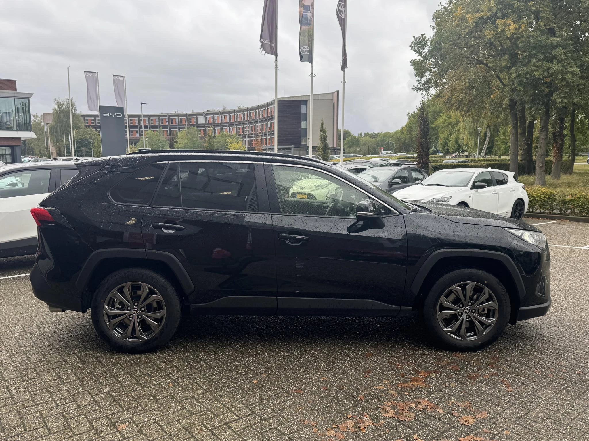 Hoofdafbeelding Toyota RAV4