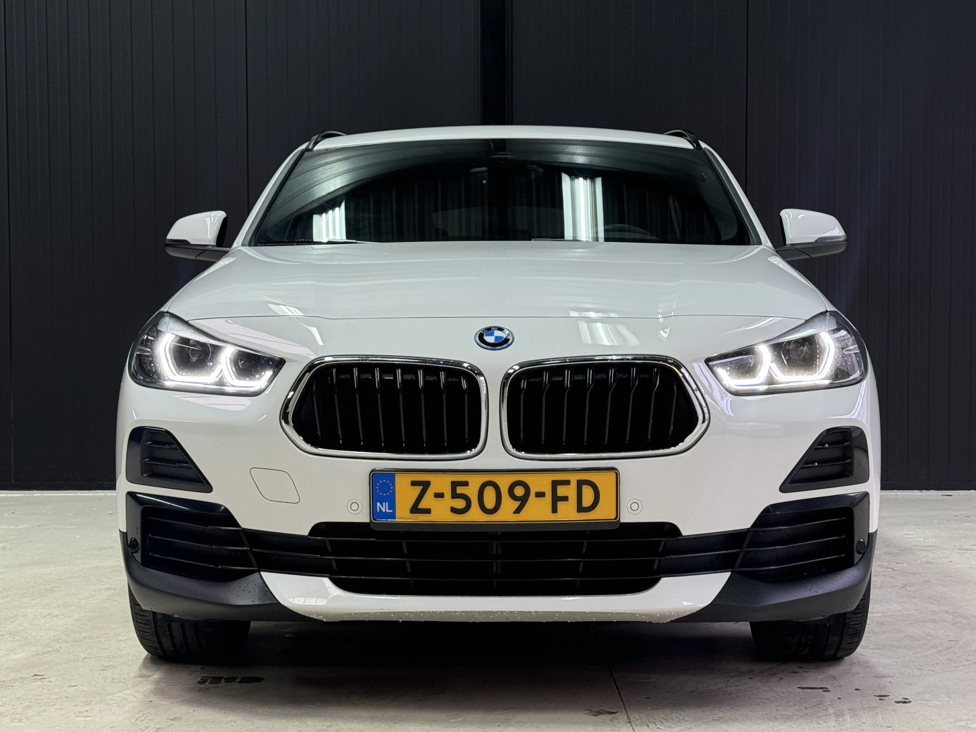 Hoofdafbeelding BMW X2