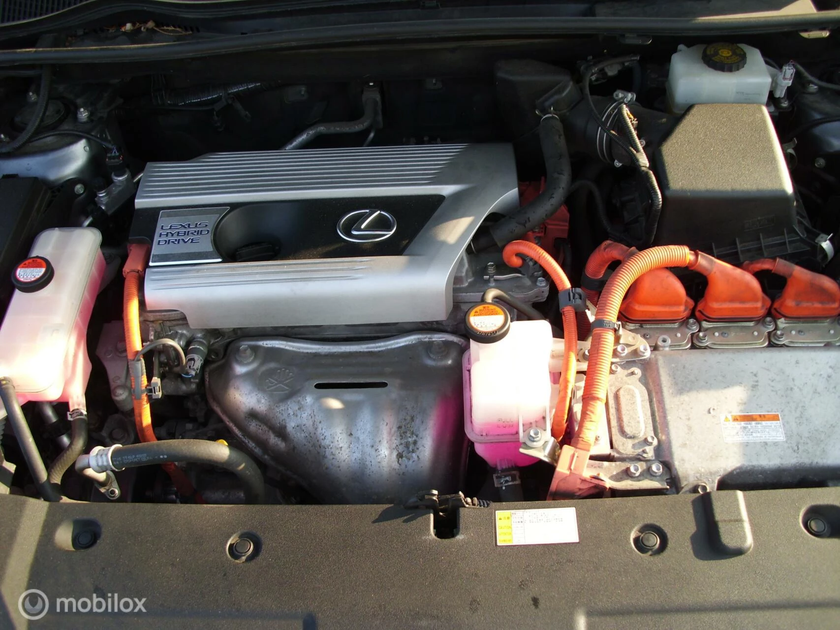 Hoofdafbeelding Lexus NX
