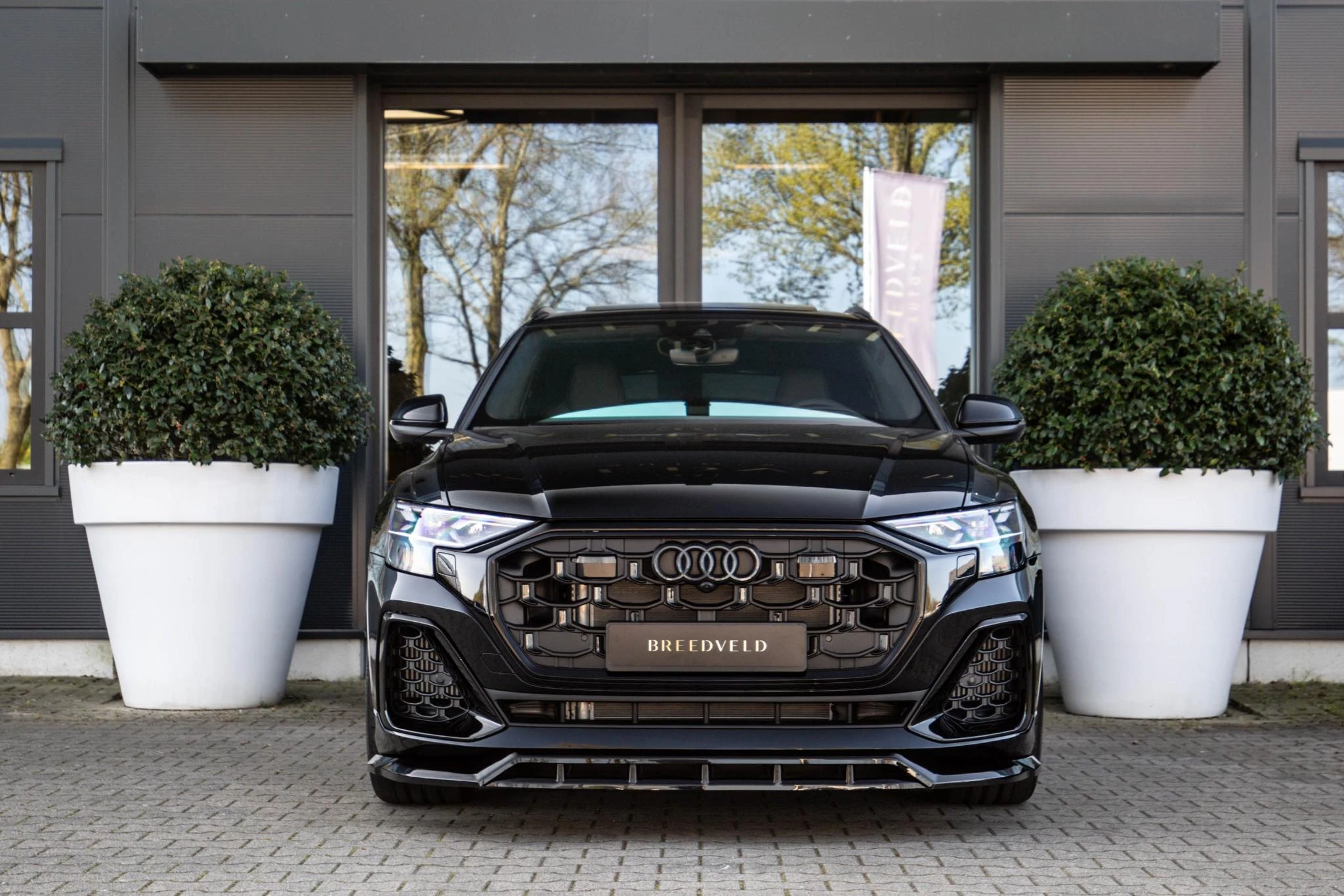Hoofdafbeelding Audi Q8