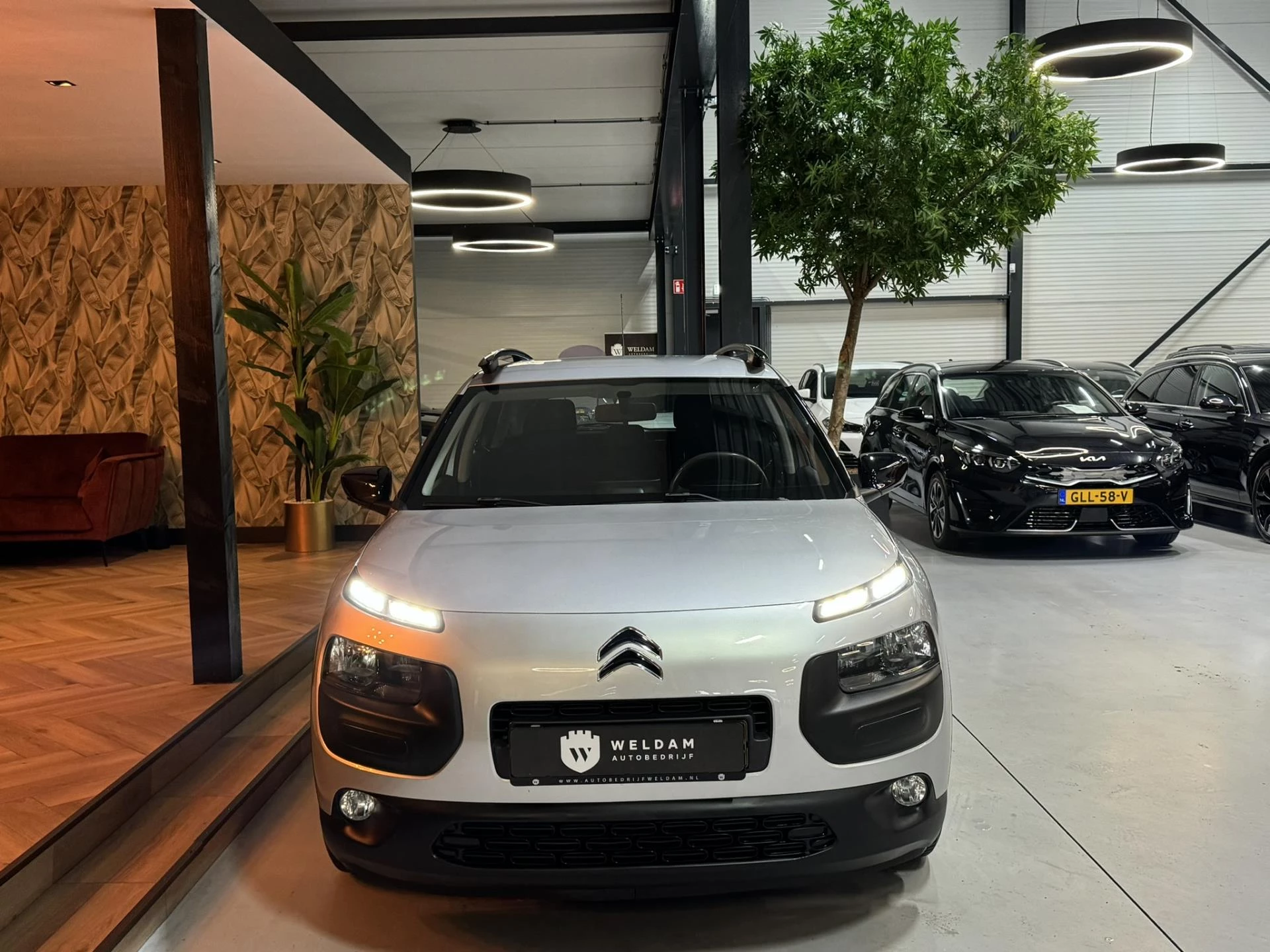 Hoofdafbeelding Citroën C4 Cactus