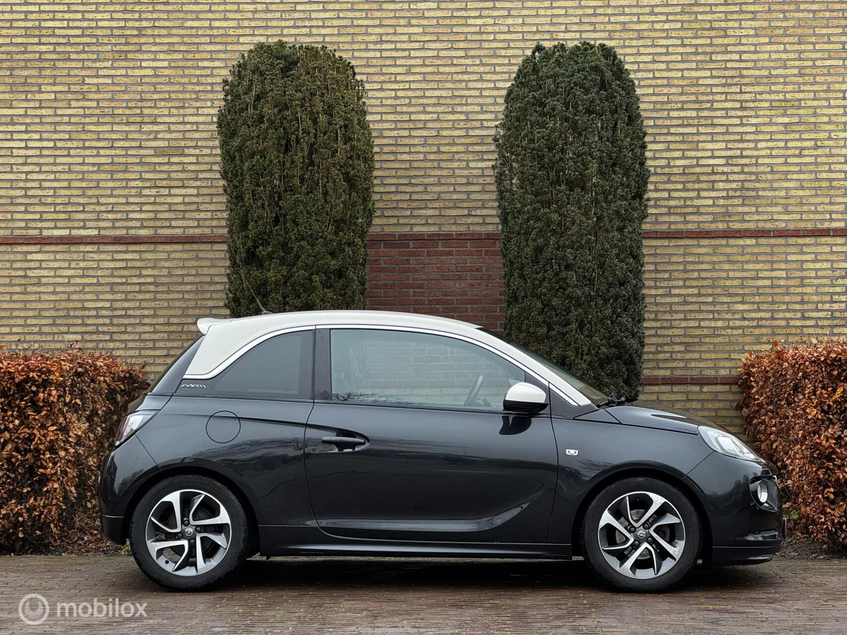 Hoofdafbeelding Opel ADAM