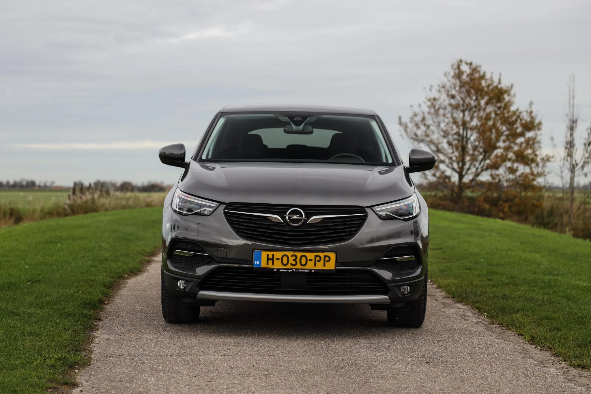 Hoofdafbeelding Opel Grandland X