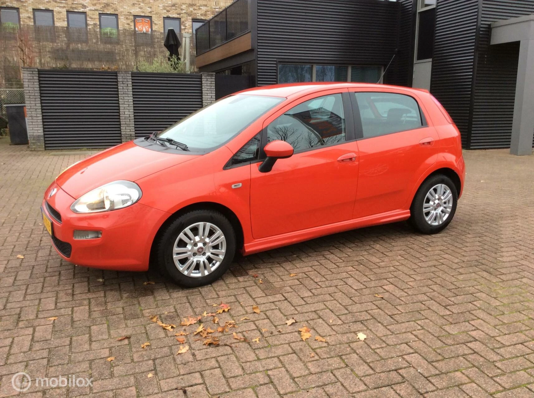 Hoofdafbeelding Fiat Punto