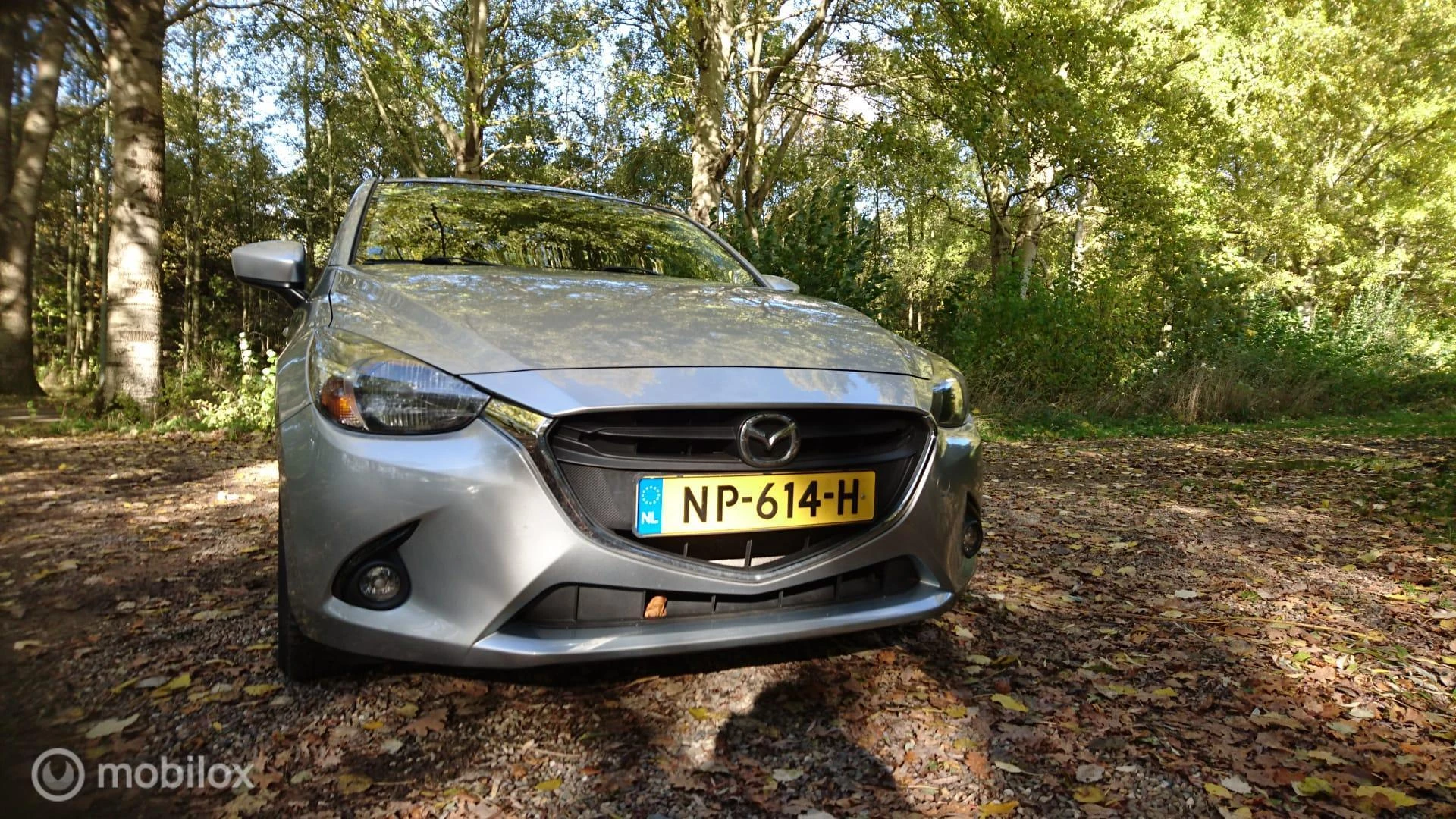 Hoofdafbeelding Mazda 2
