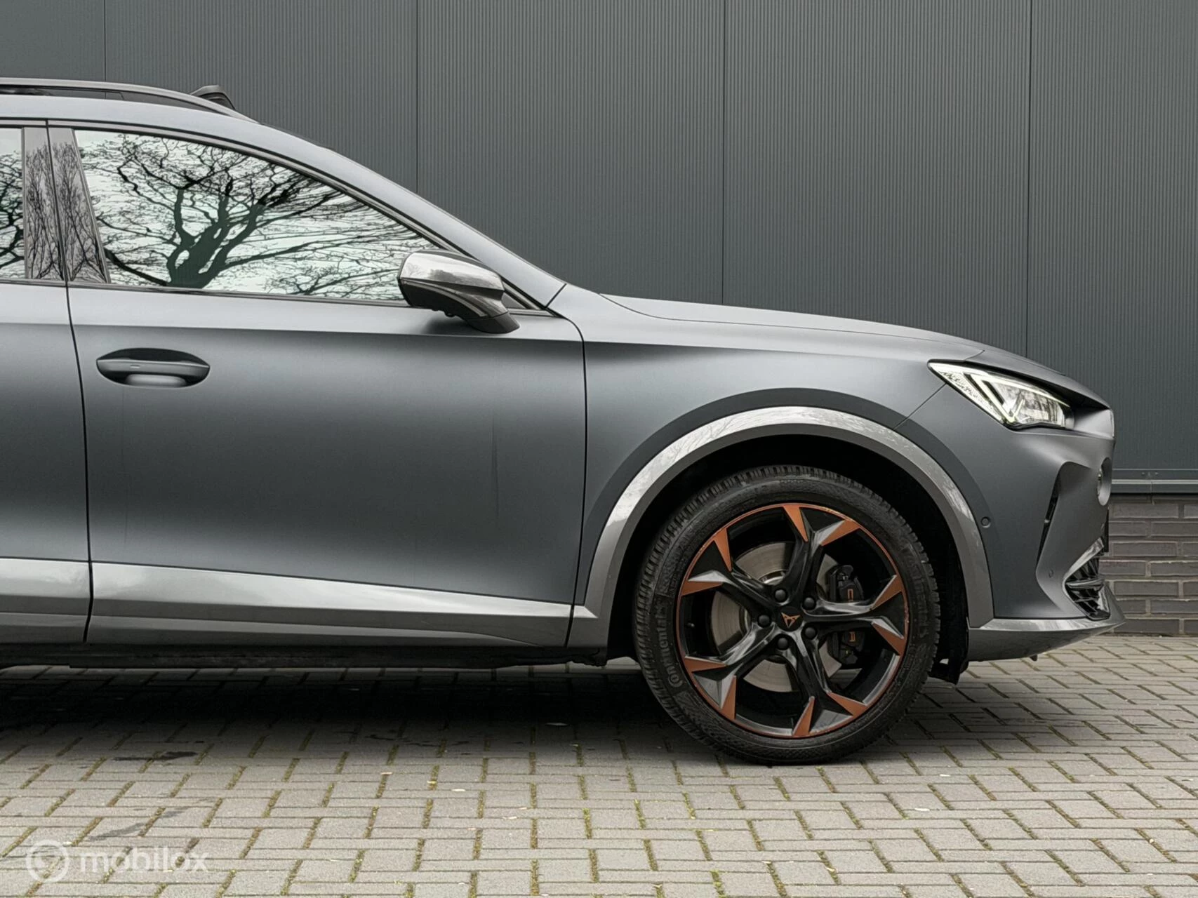 Hoofdafbeelding CUPRA Formentor