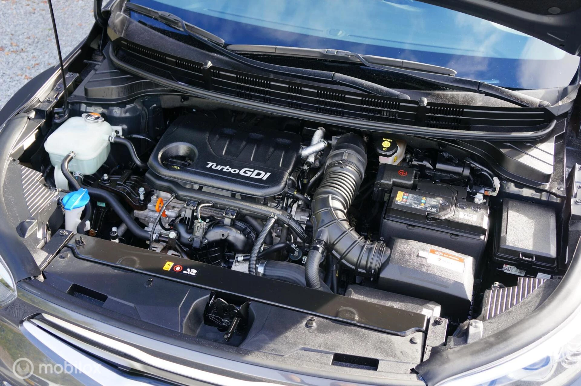 Hoofdafbeelding Kia Stonic