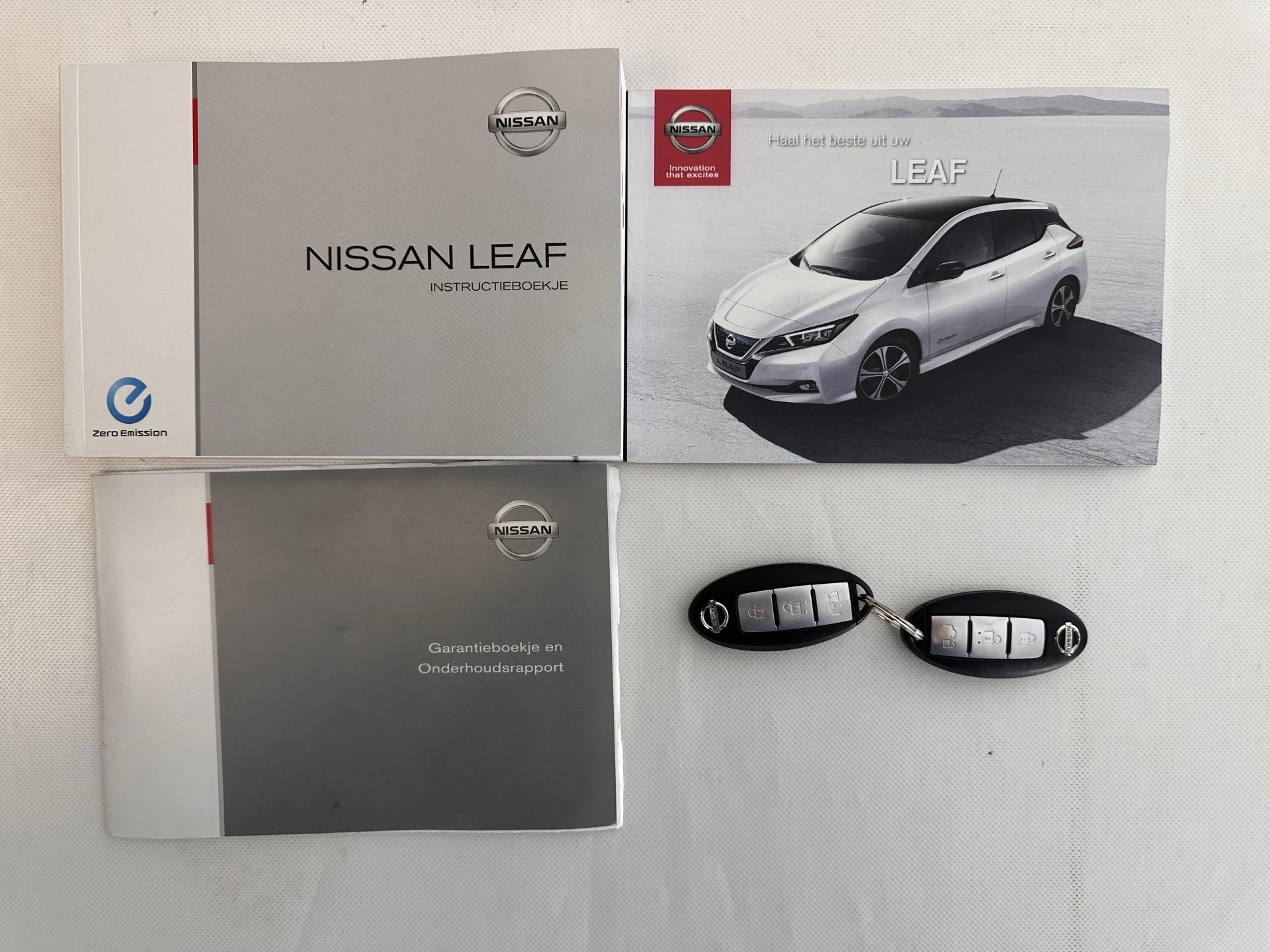 Hoofdafbeelding Nissan Leaf