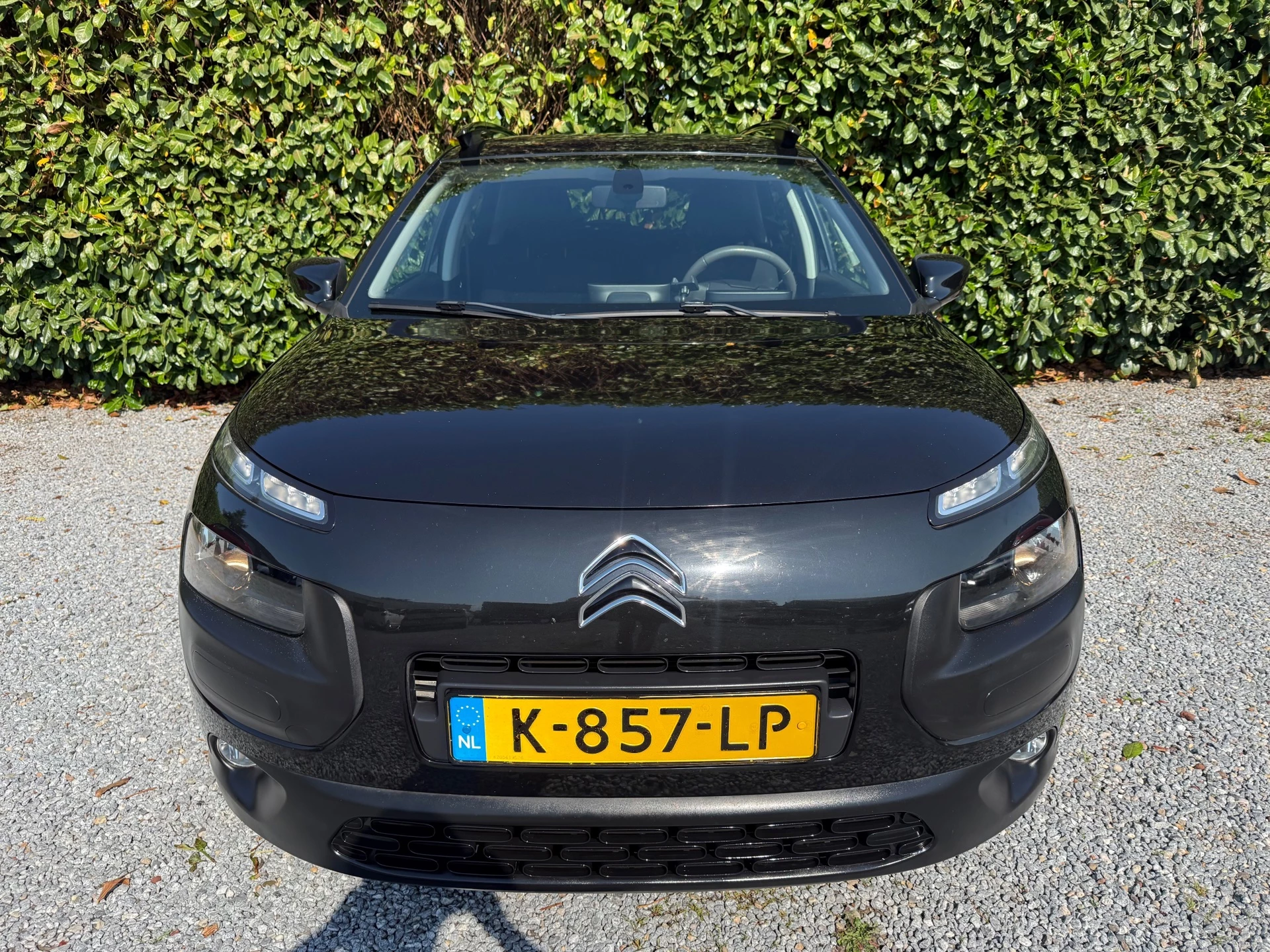 Hoofdafbeelding Citroën C4 Cactus