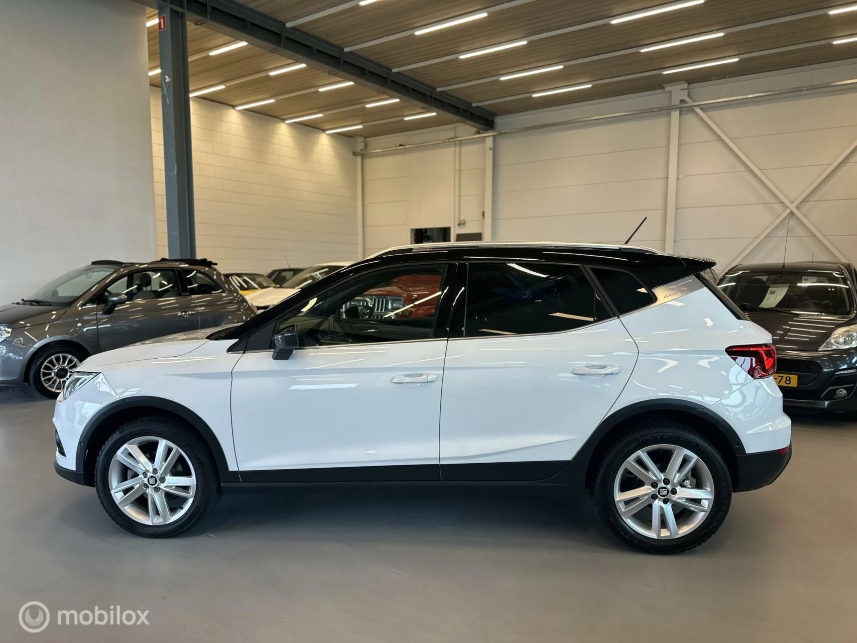 Hoofdafbeelding SEAT Arona