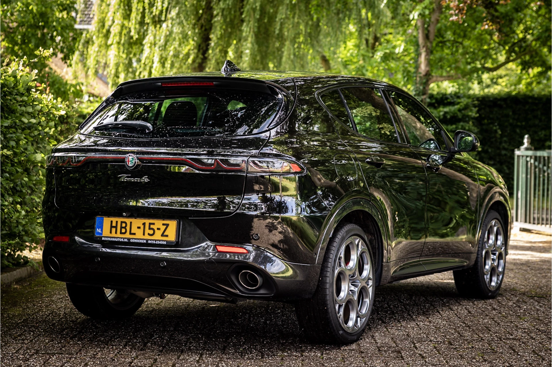 Hoofdafbeelding Alfa Romeo Tonale