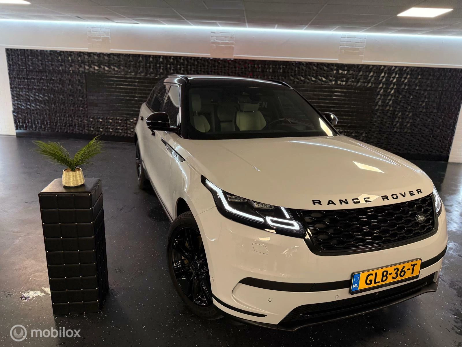 Hoofdafbeelding Land Rover Range Rover Velar