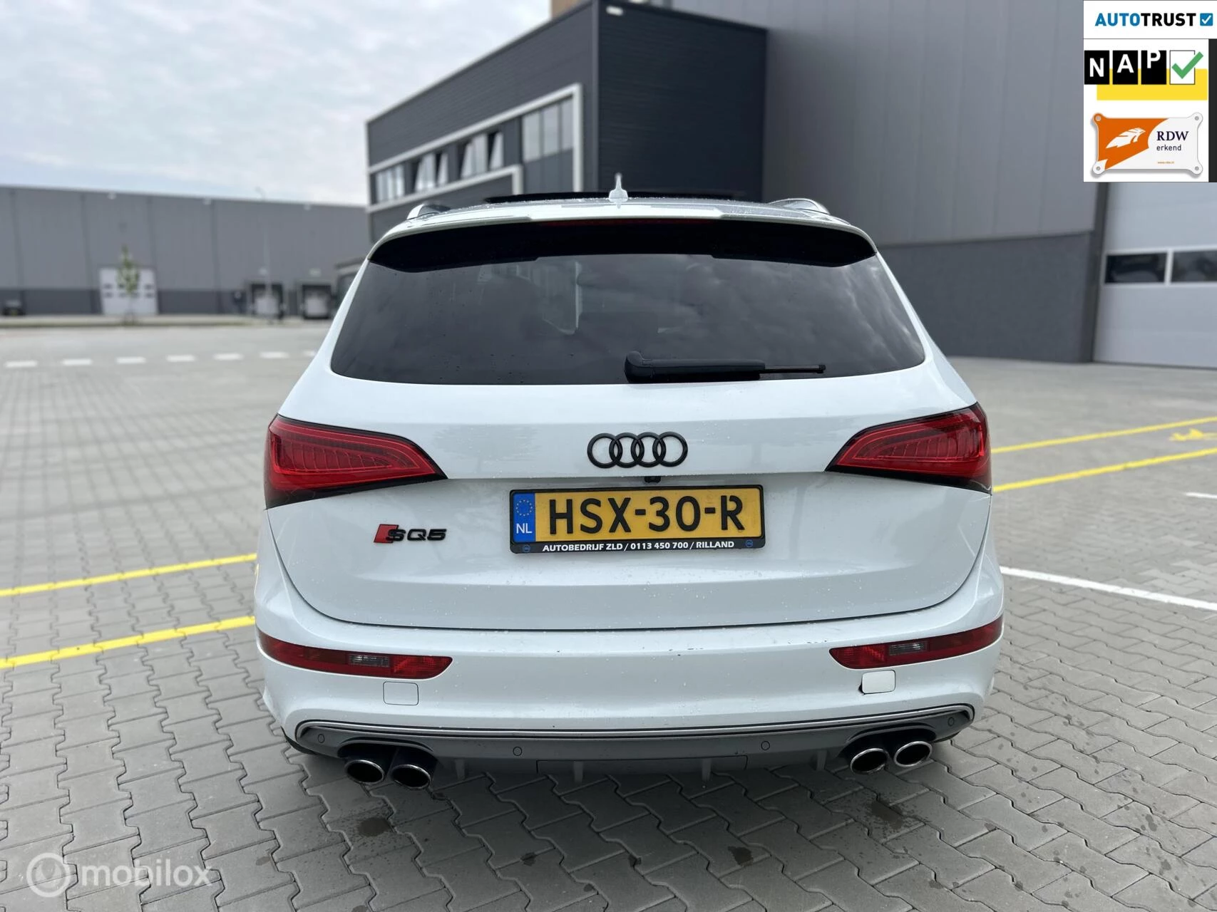 Hoofdafbeelding Audi SQ5