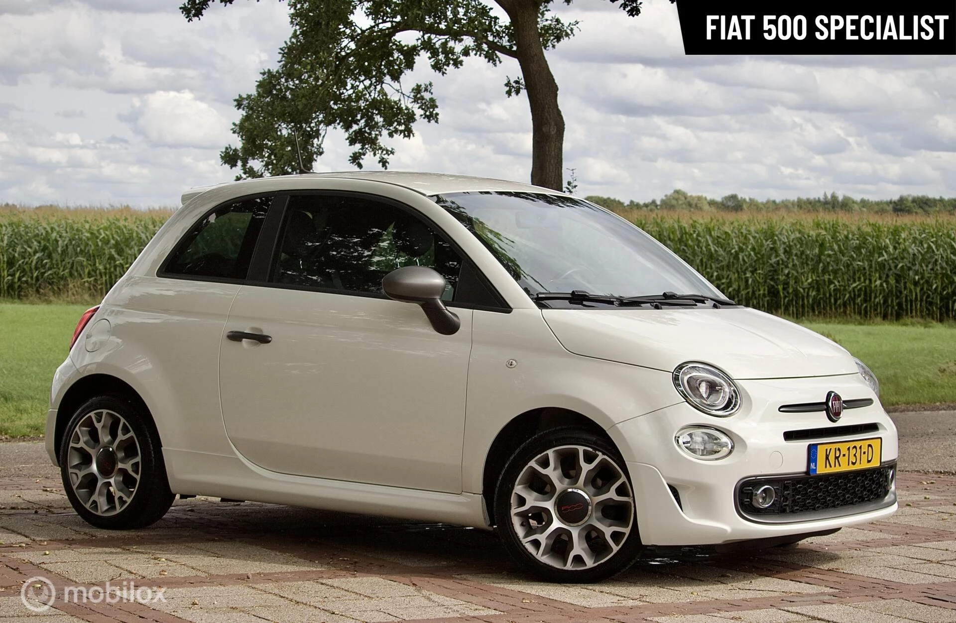 Hoofdafbeelding Fiat 500