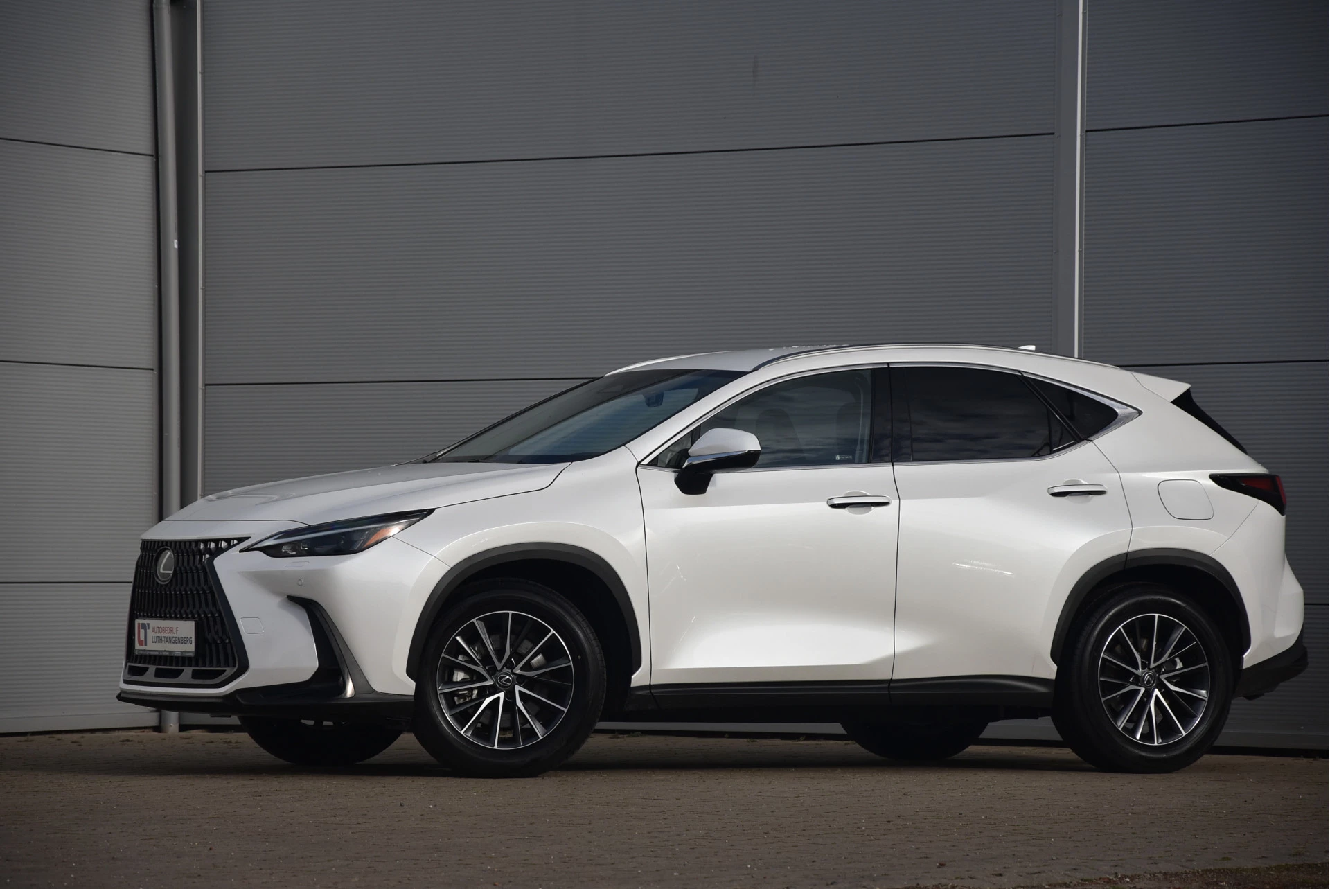 Hoofdafbeelding Lexus NX