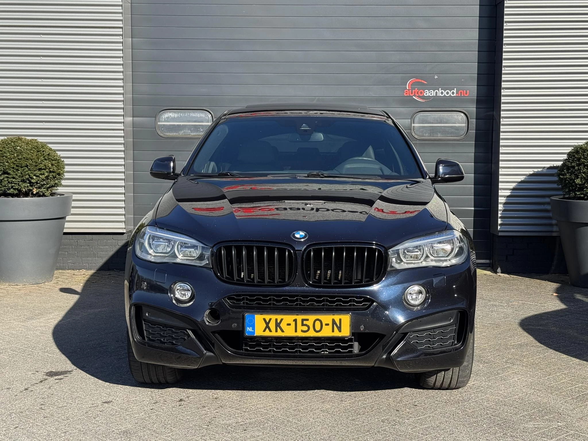 Hoofdafbeelding BMW X6