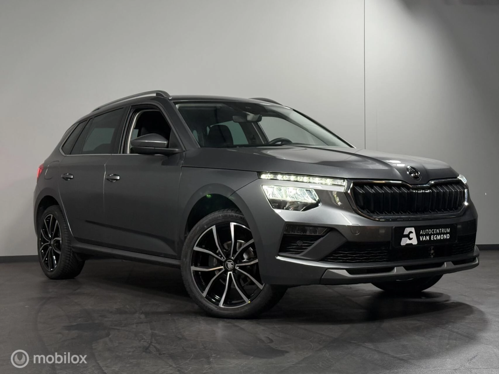 Hoofdafbeelding Škoda Kamiq