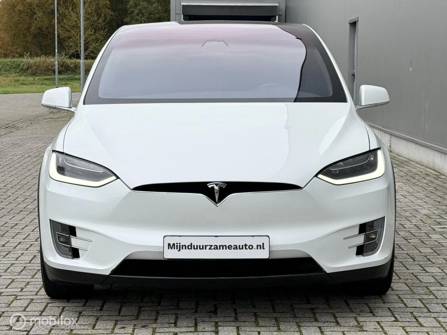 Hoofdafbeelding Tesla Model X