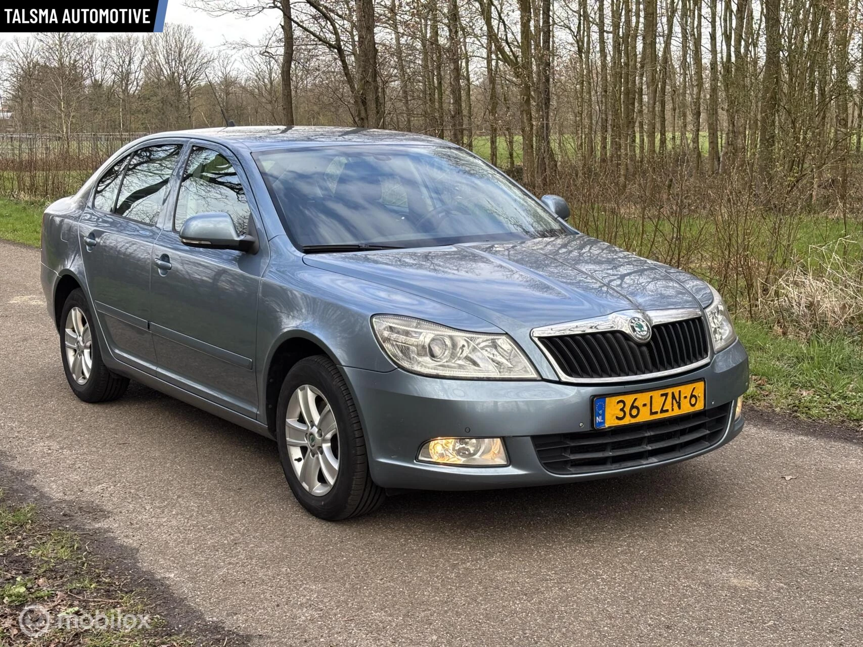 Hoofdafbeelding Škoda Octavia