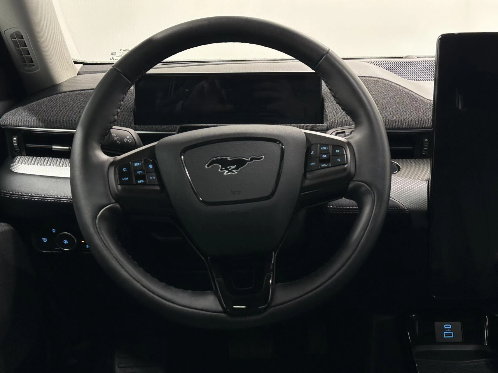 Hoofdafbeelding Ford Mustang Mach-E