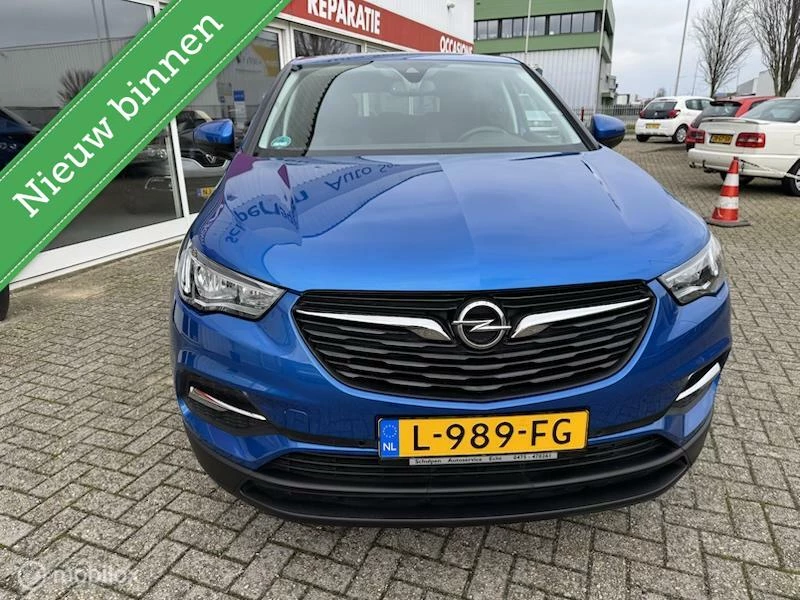 Hoofdafbeelding Opel Grandland X