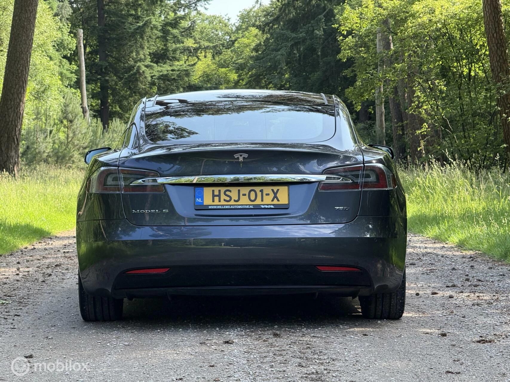 Hoofdafbeelding Tesla Model S
