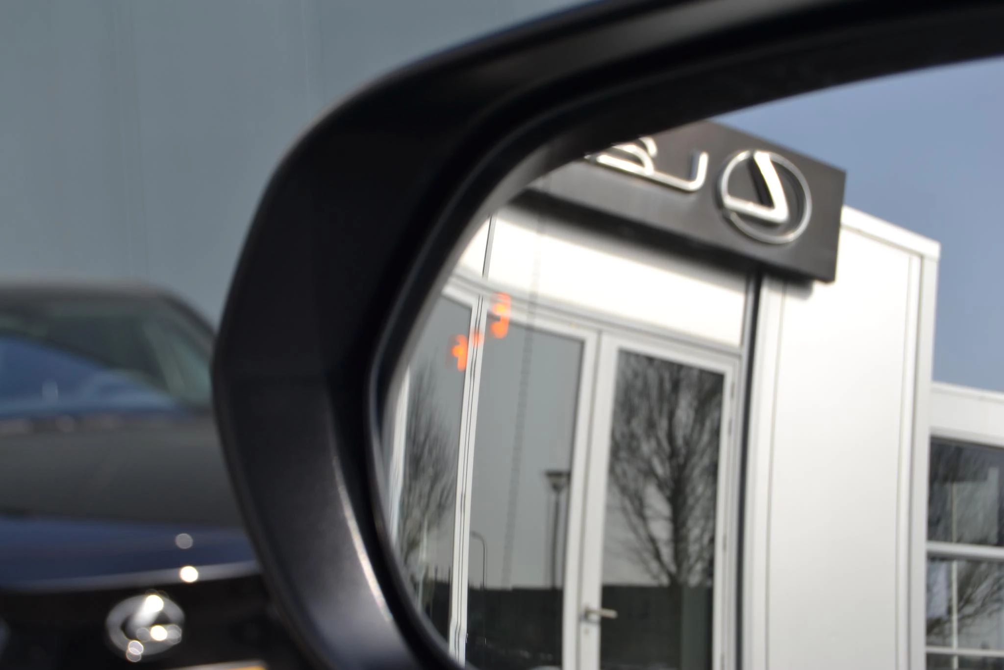 Hoofdafbeelding Lexus RZ