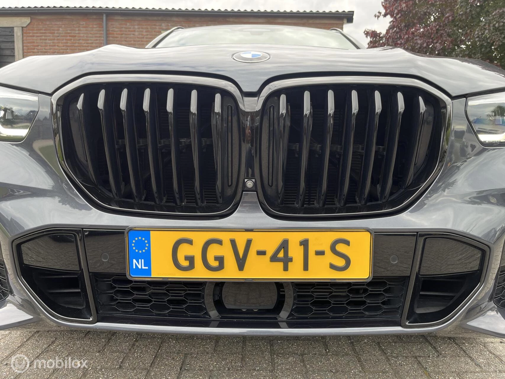 Hoofdafbeelding BMW X5