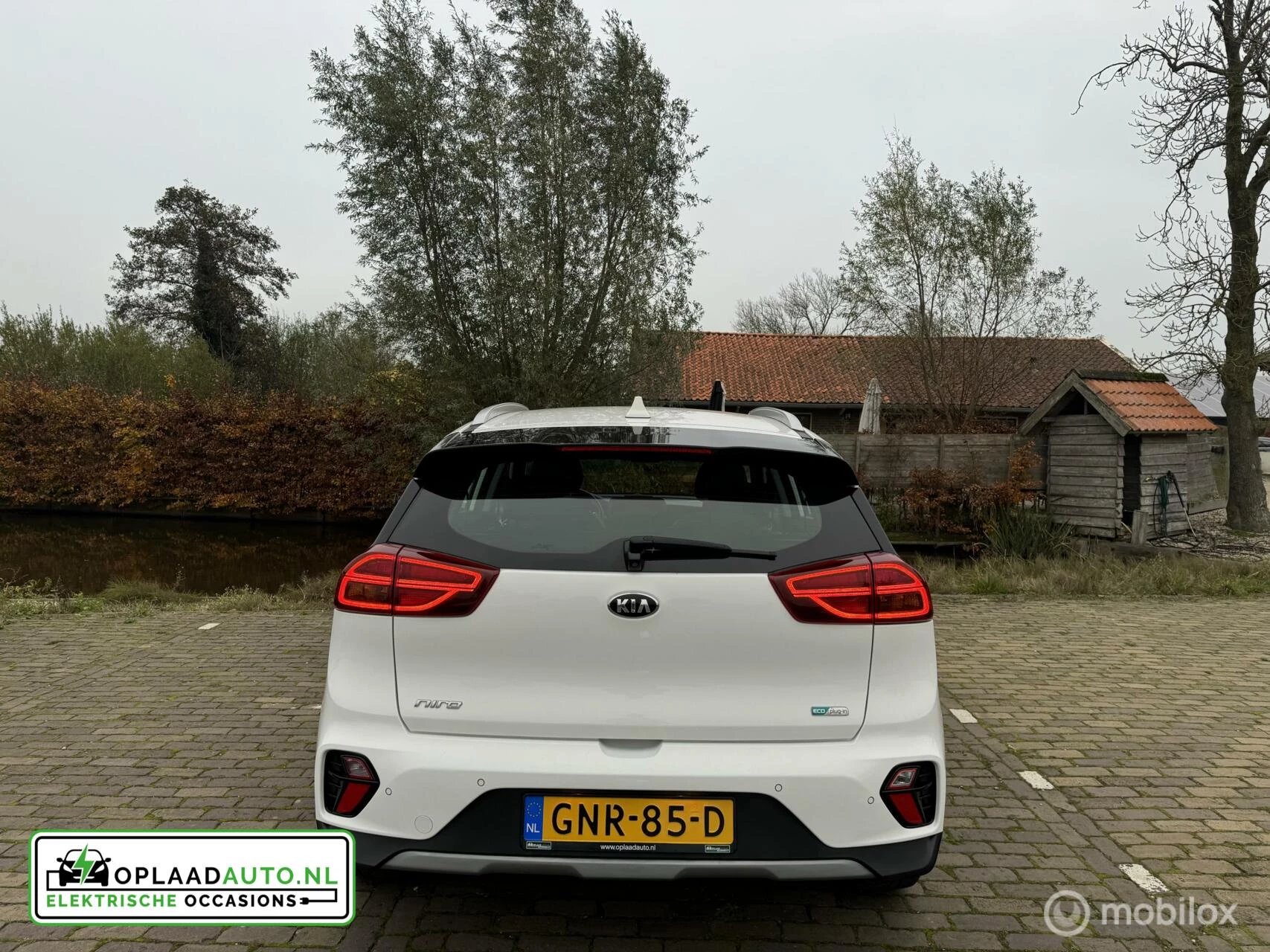 Hoofdafbeelding Kia Niro