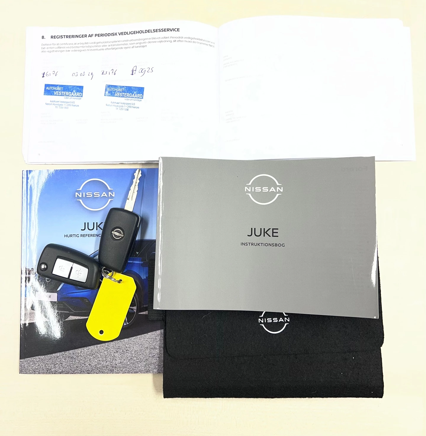 Hoofdafbeelding Nissan Juke