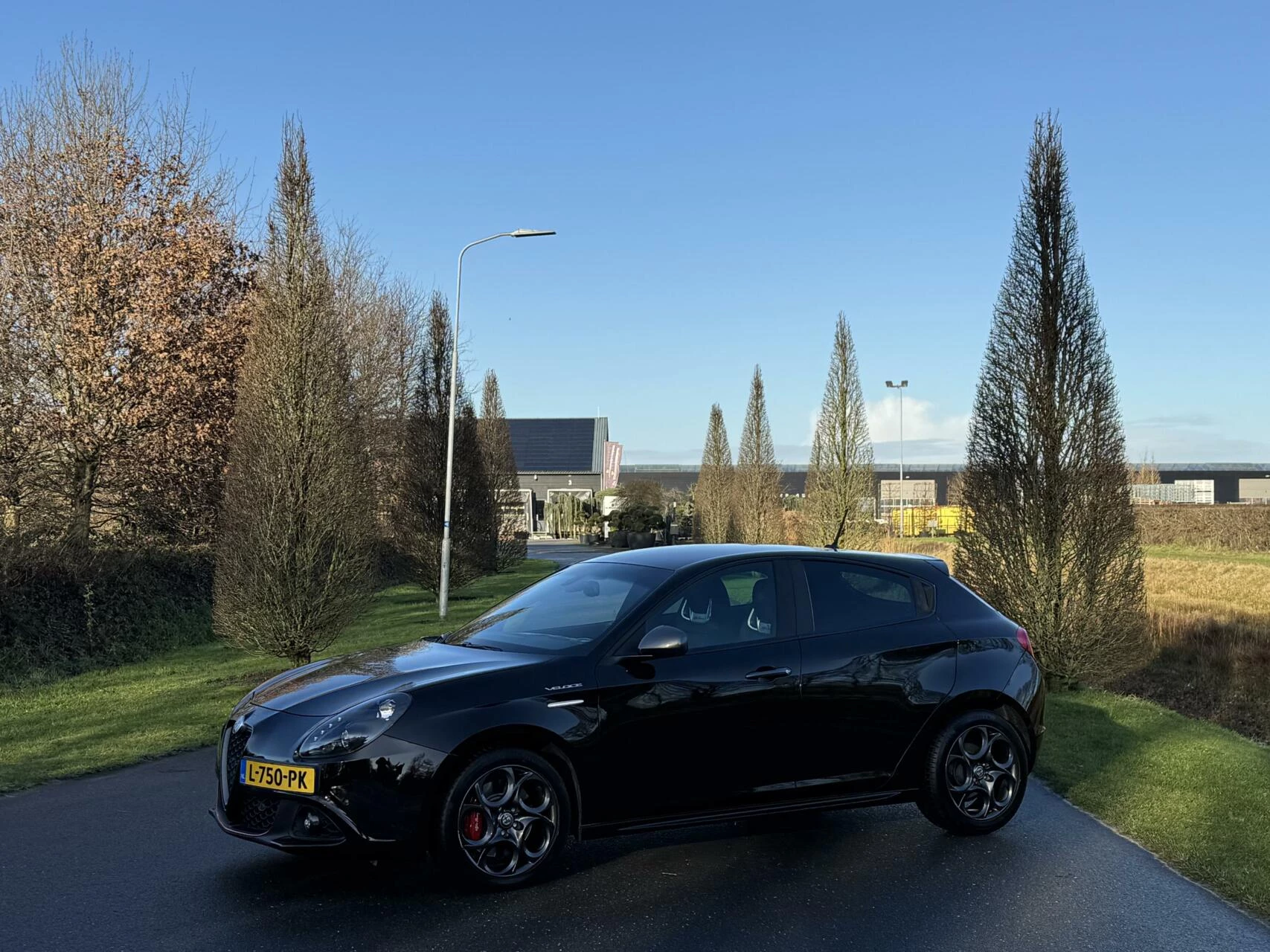 Hoofdafbeelding Alfa Romeo Giulietta