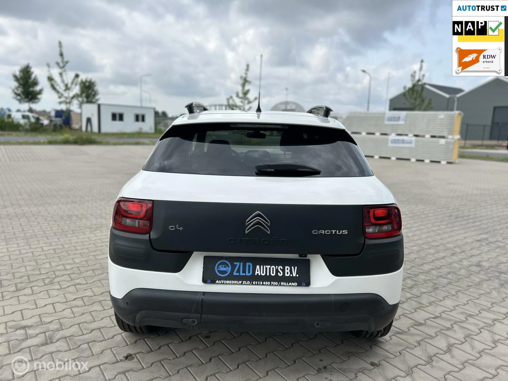 Hoofdafbeelding Citroën C4 Cactus