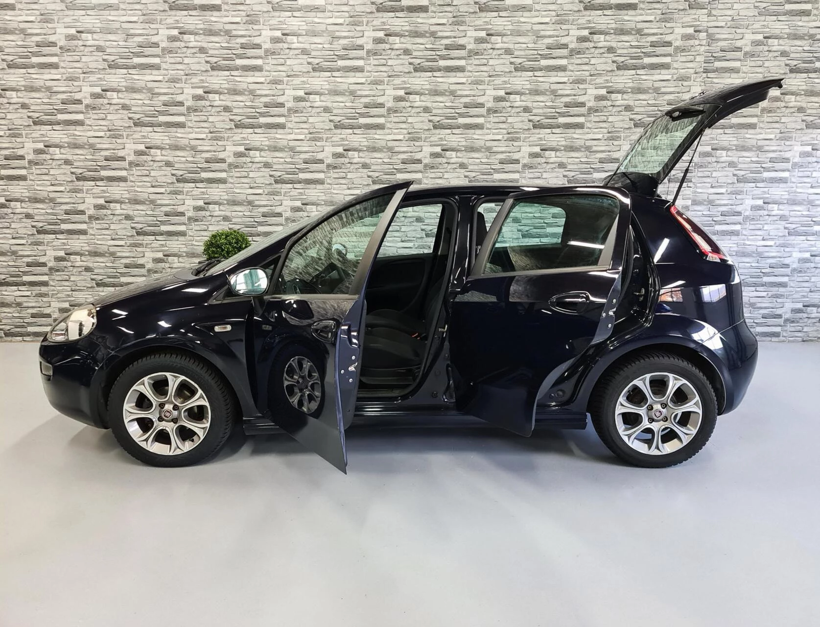 Hoofdafbeelding Fiat Punto