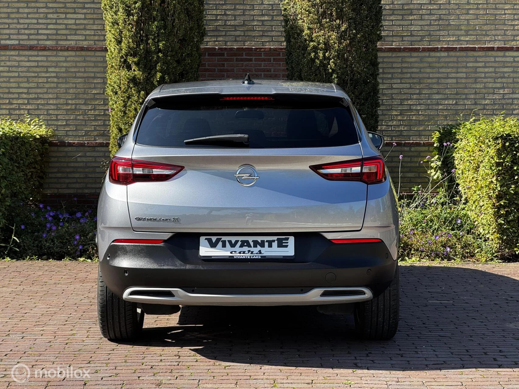 Hoofdafbeelding Opel Grandland X
