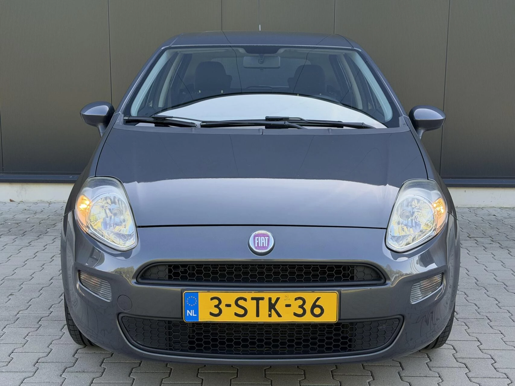 Hoofdafbeelding Fiat Punto