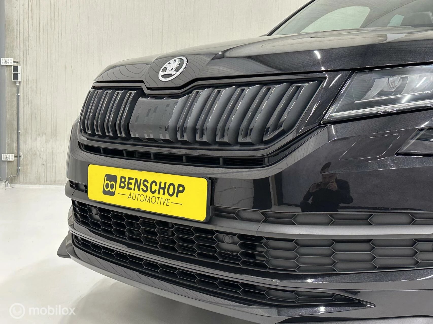 Hoofdafbeelding Škoda Kodiaq