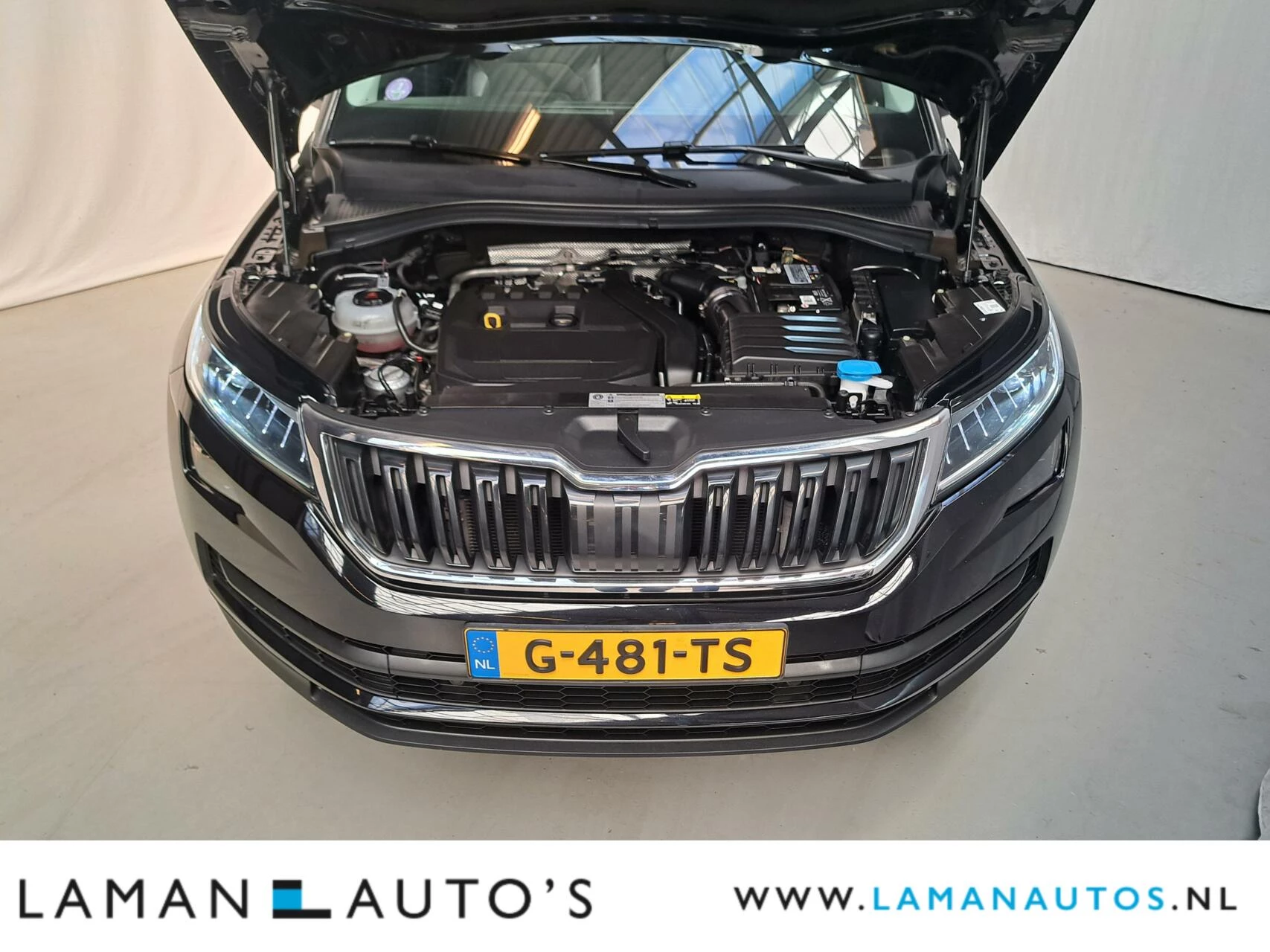 Hoofdafbeelding Škoda Kodiaq