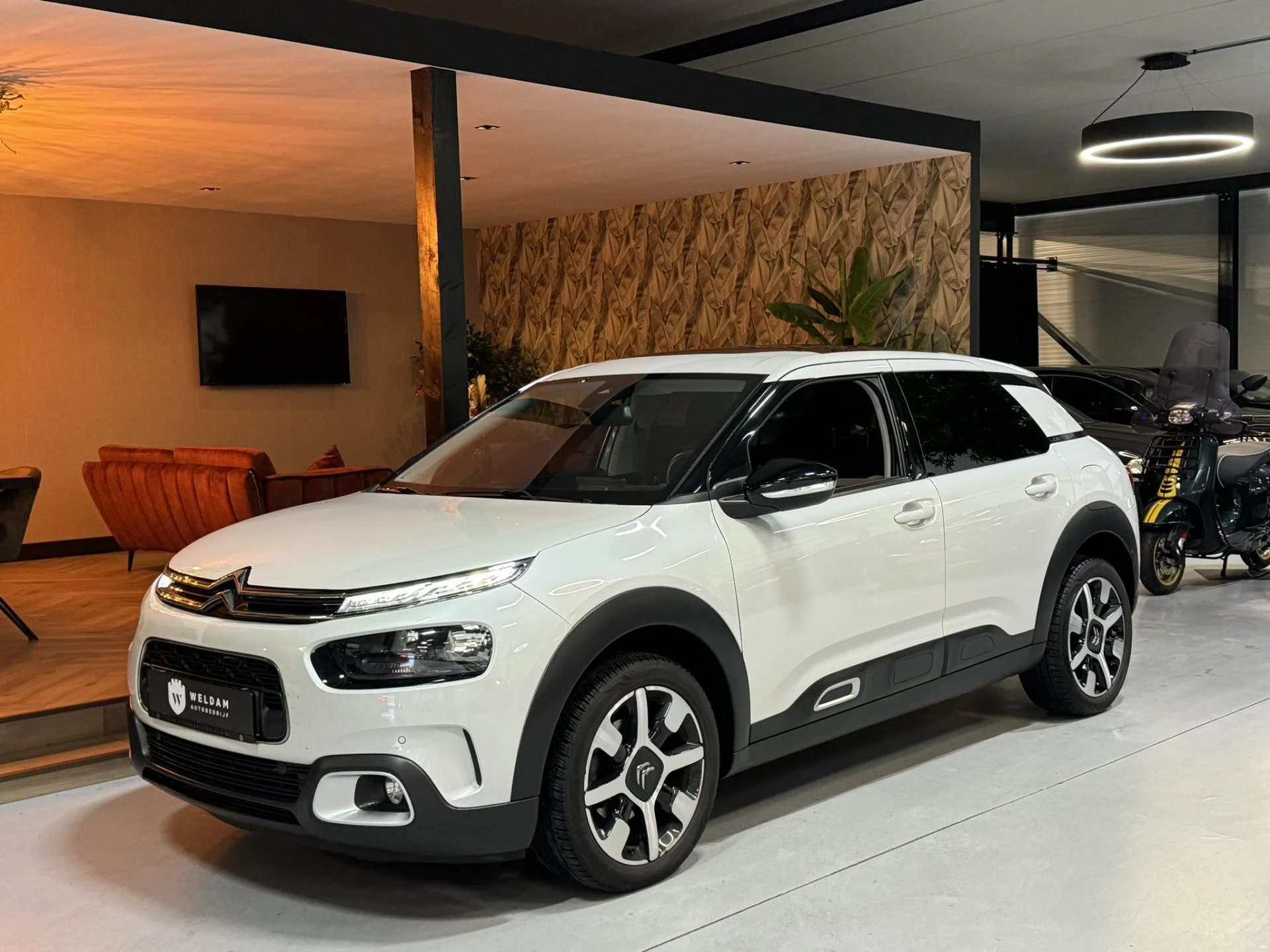 Hoofdafbeelding Citroën C4 Cactus
