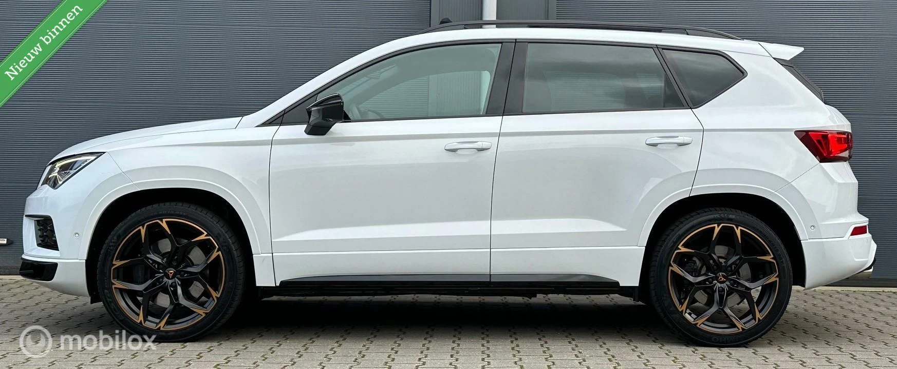 Hoofdafbeelding CUPRA Ateca