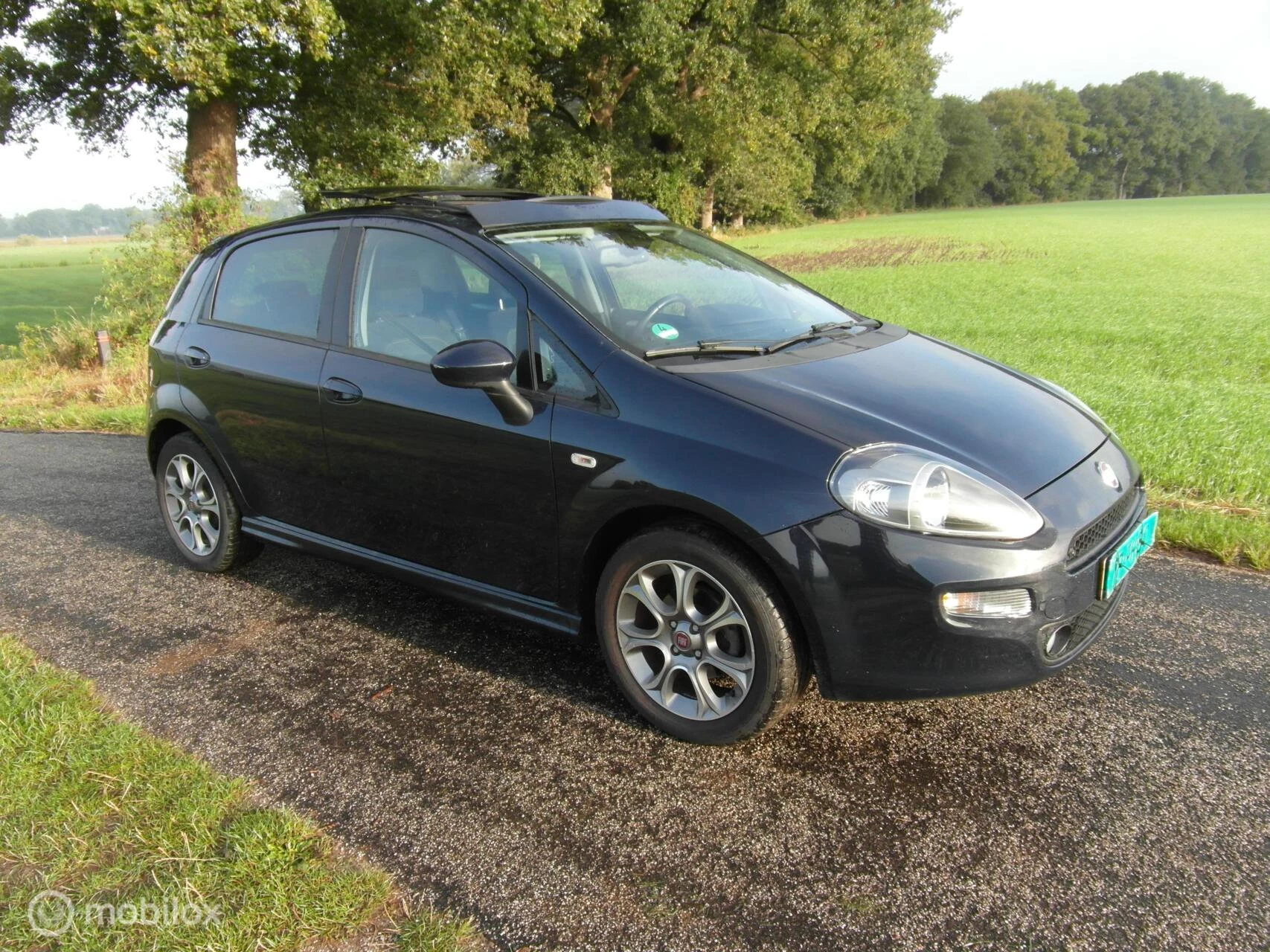 Hoofdafbeelding Fiat Punto