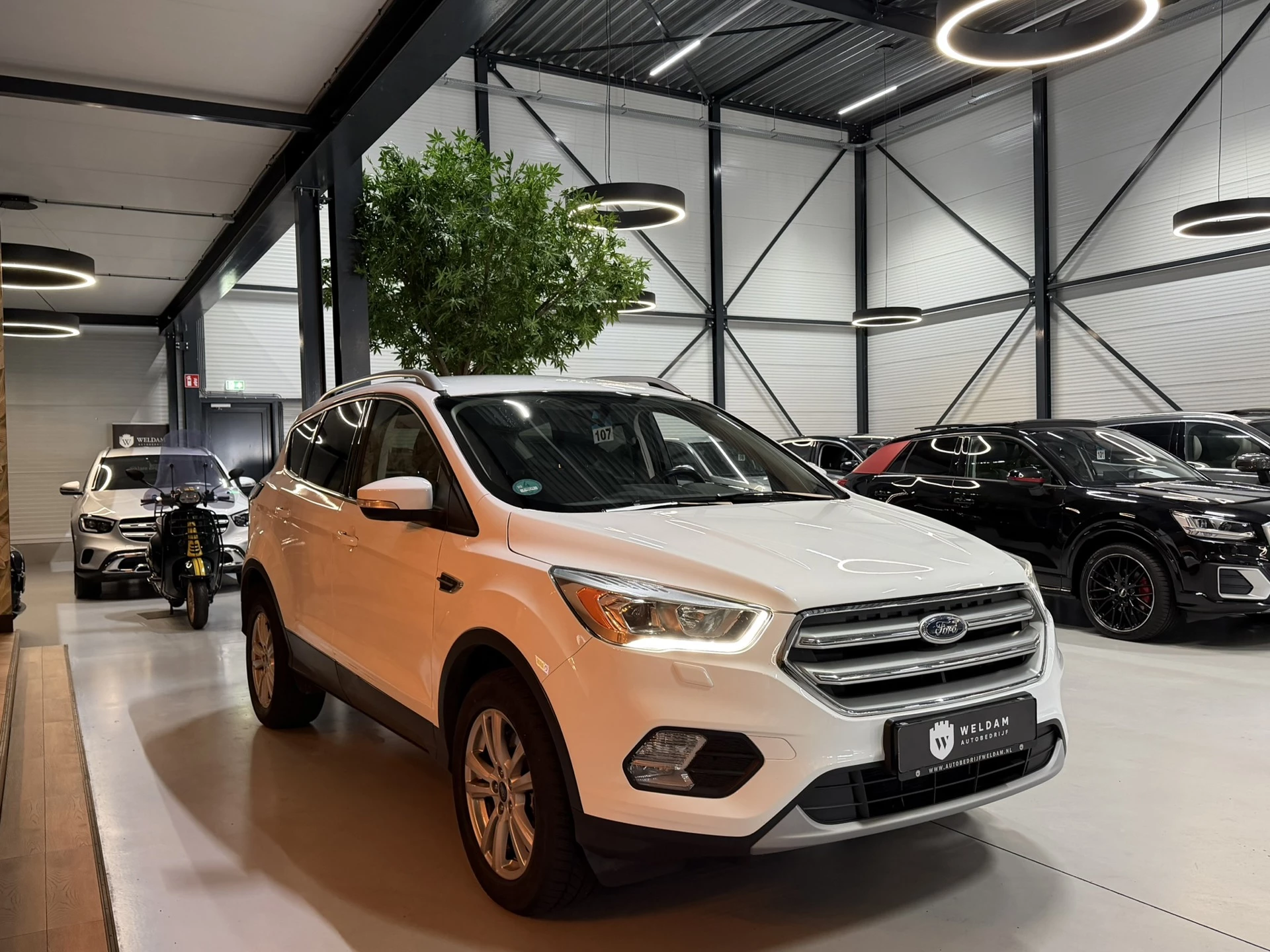 Hoofdafbeelding Ford Kuga