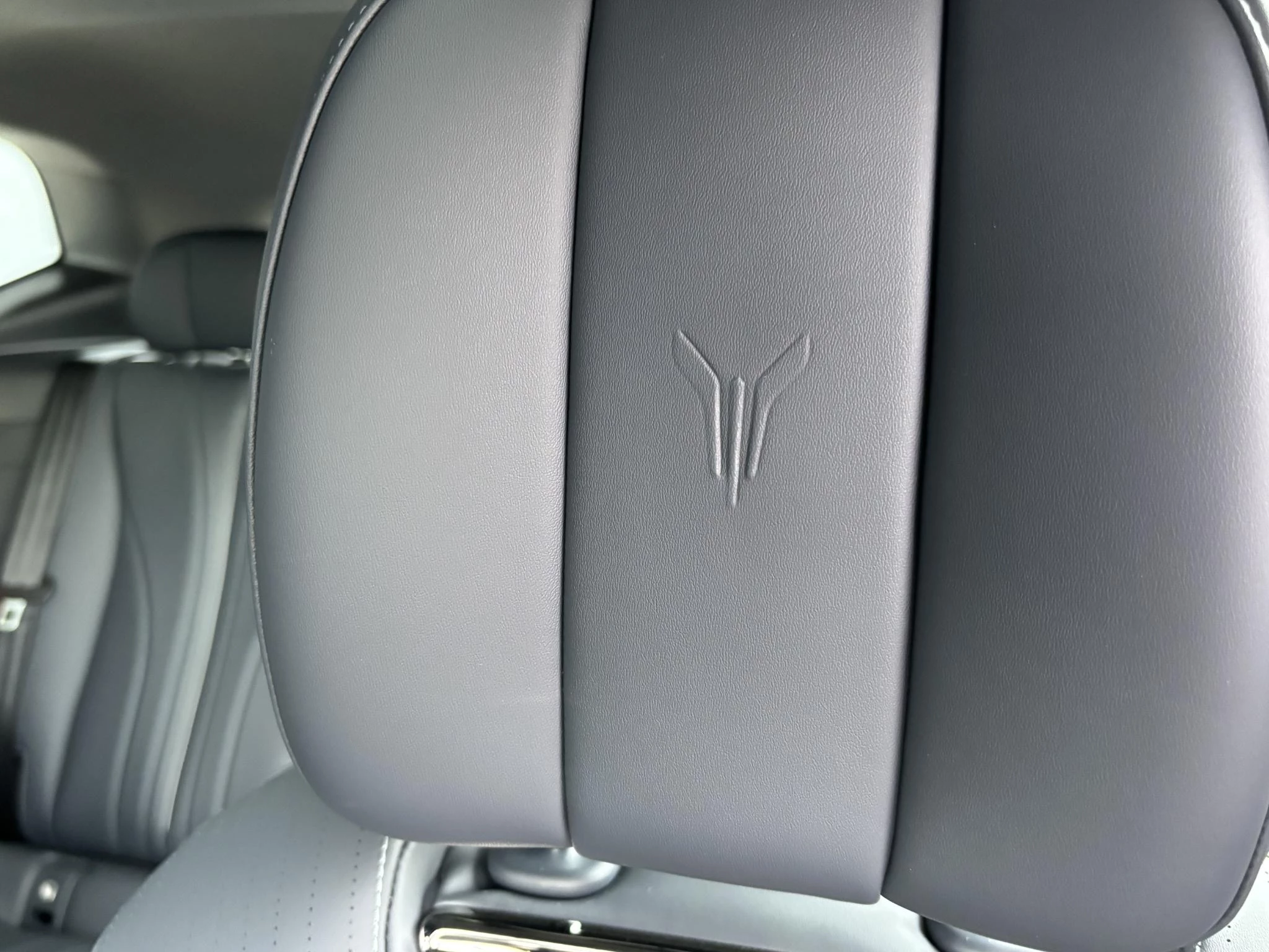 Hoofdafbeelding Voyah Courage