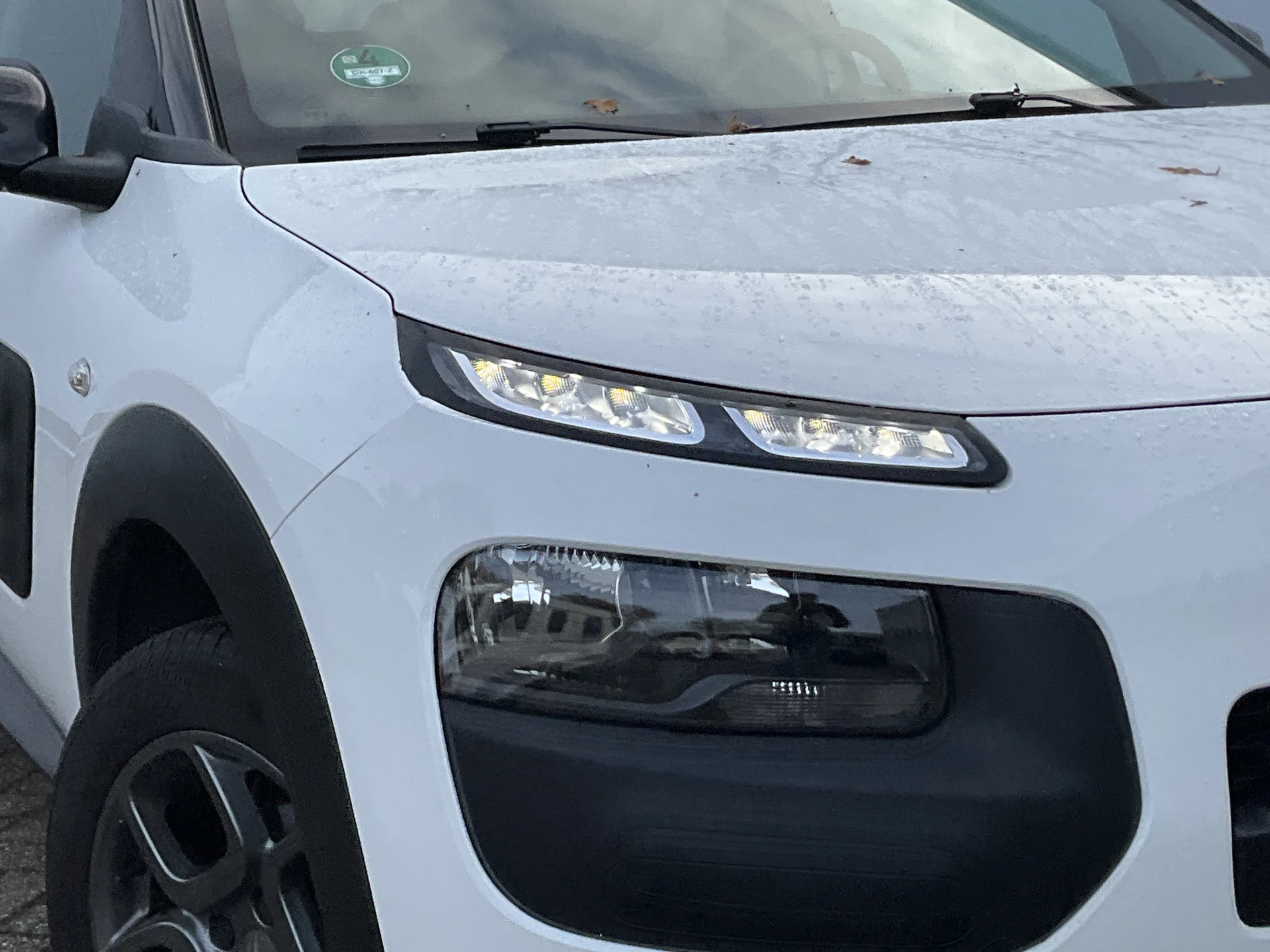 Hoofdafbeelding Citroën C4 Cactus