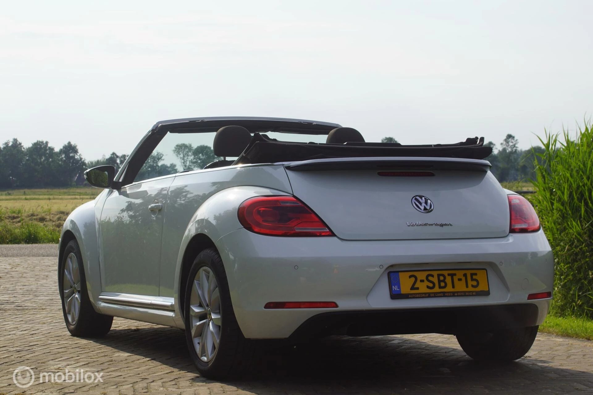 Hoofdafbeelding Volkswagen Beetle