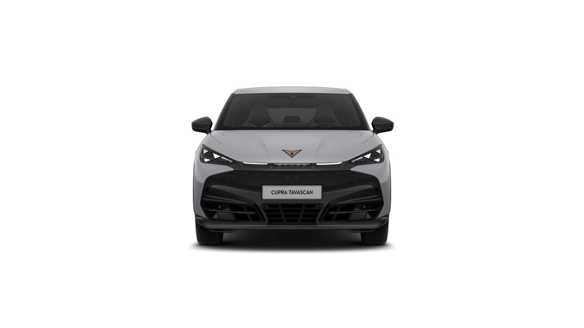Hoofdafbeelding CUPRA Tavascan