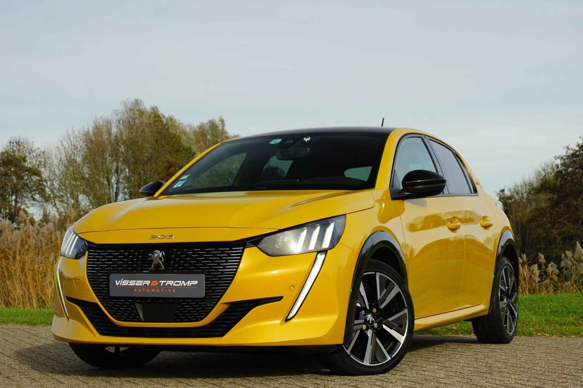 Hoofdafbeelding Peugeot 208