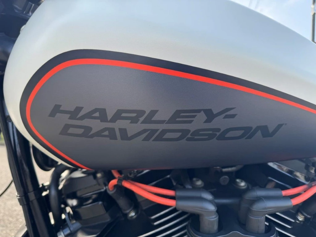 Hoofdafbeelding Harley-Davidson Softail