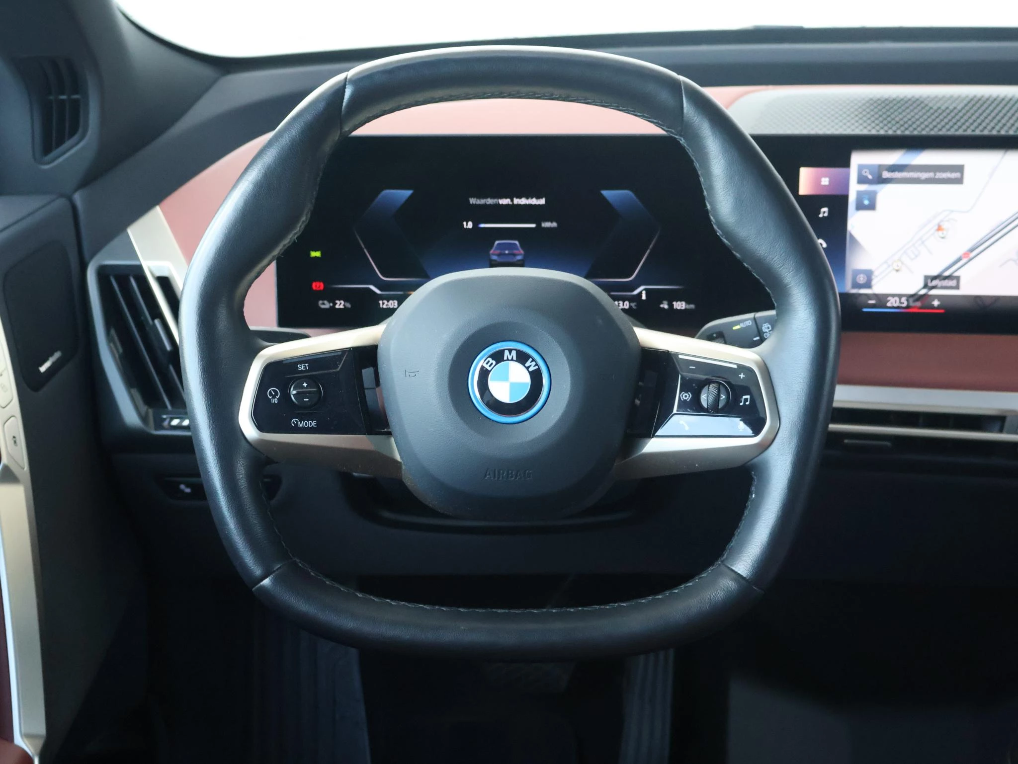 Hoofdafbeelding BMW iX