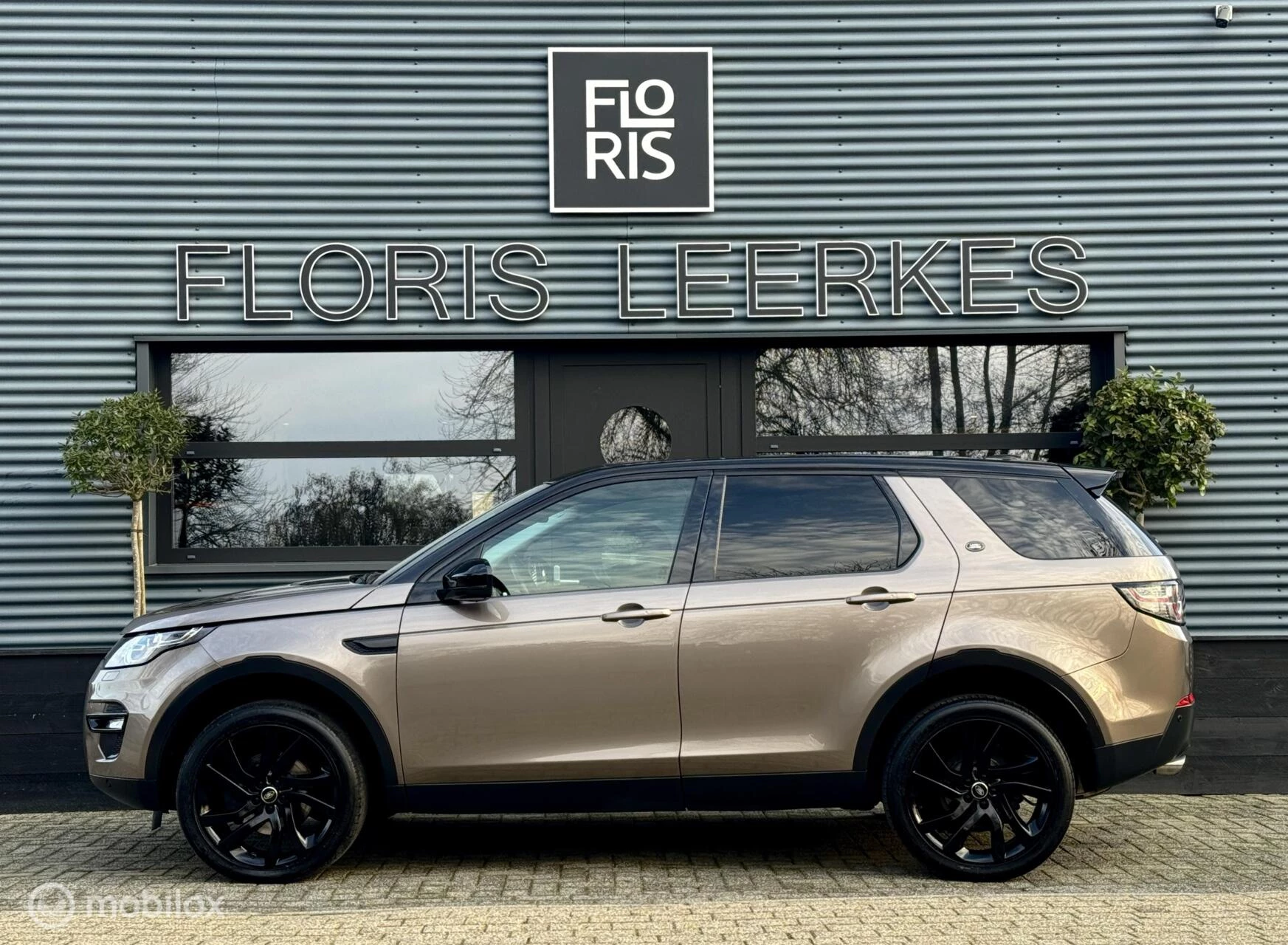 Hoofdafbeelding Land Rover Discovery Sport